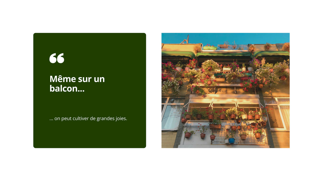 Jardinage urbain