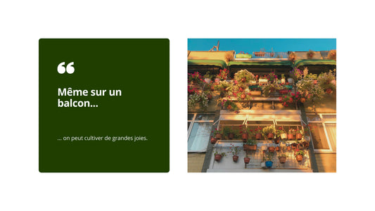 Jardinage urbain