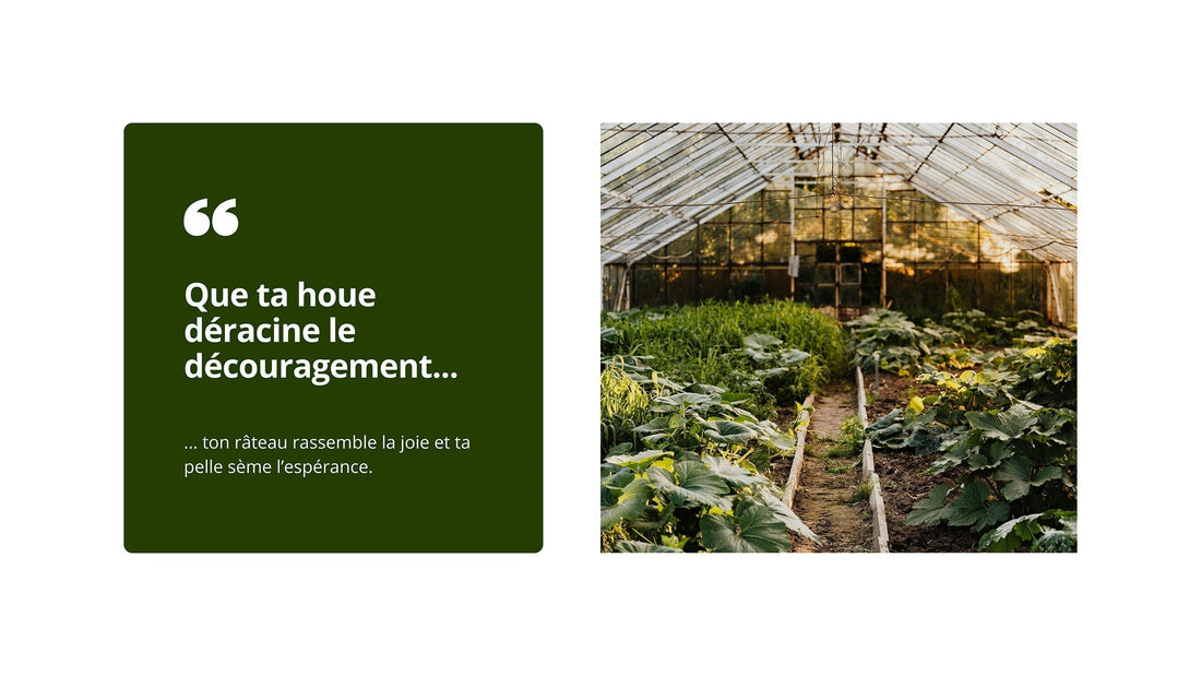 Outils de jardinage : les classiques