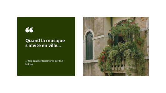 La fête de la musique