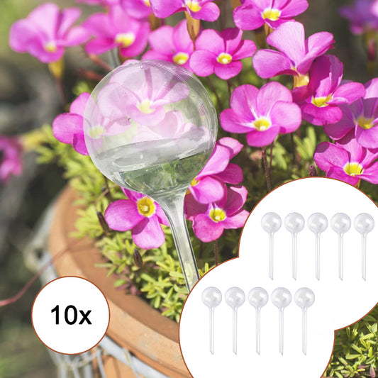 Arrosage-autonome-10-bulles-transparentes