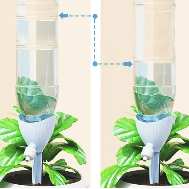 Arrosage-autonome-goutte-à-goutte