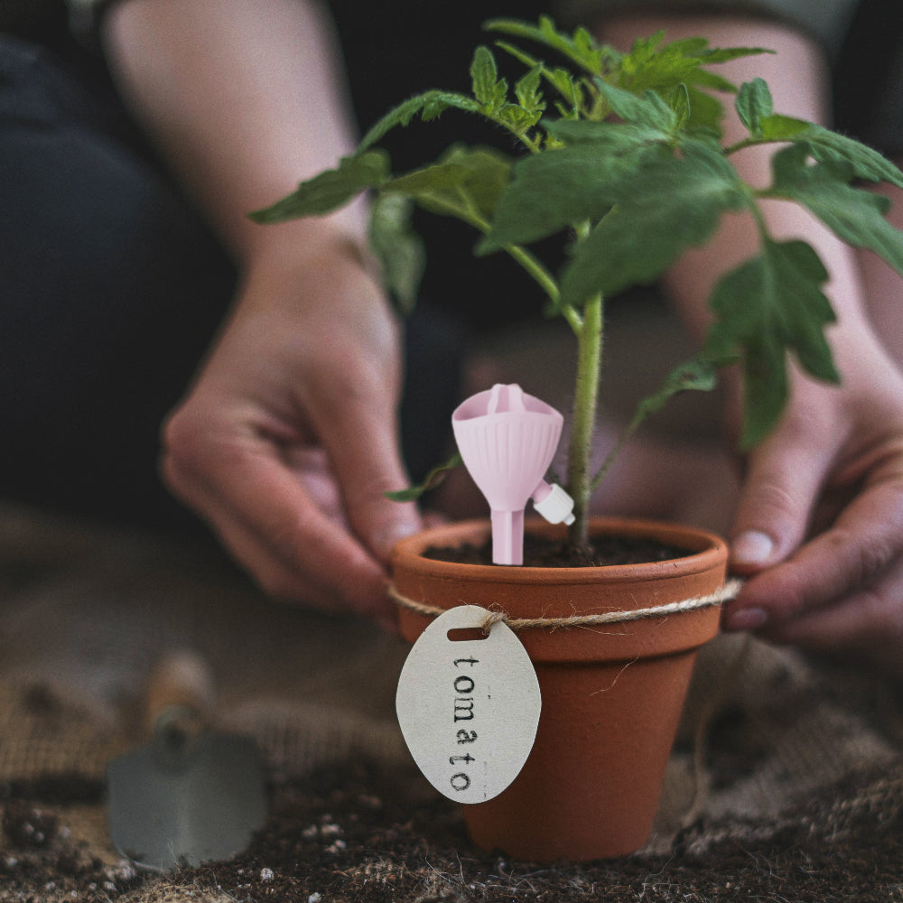 Arrosage-autonome-pour-jardinage