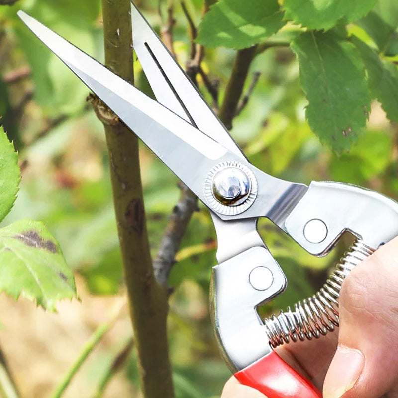 Ciseaux-de-jardin-polyvalents-jardinage