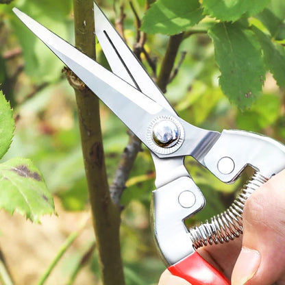 Ciseaux-de-jardin-polyvalents-jardinage