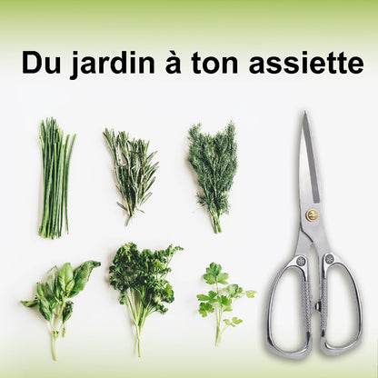 Ciseaux-de-jardin