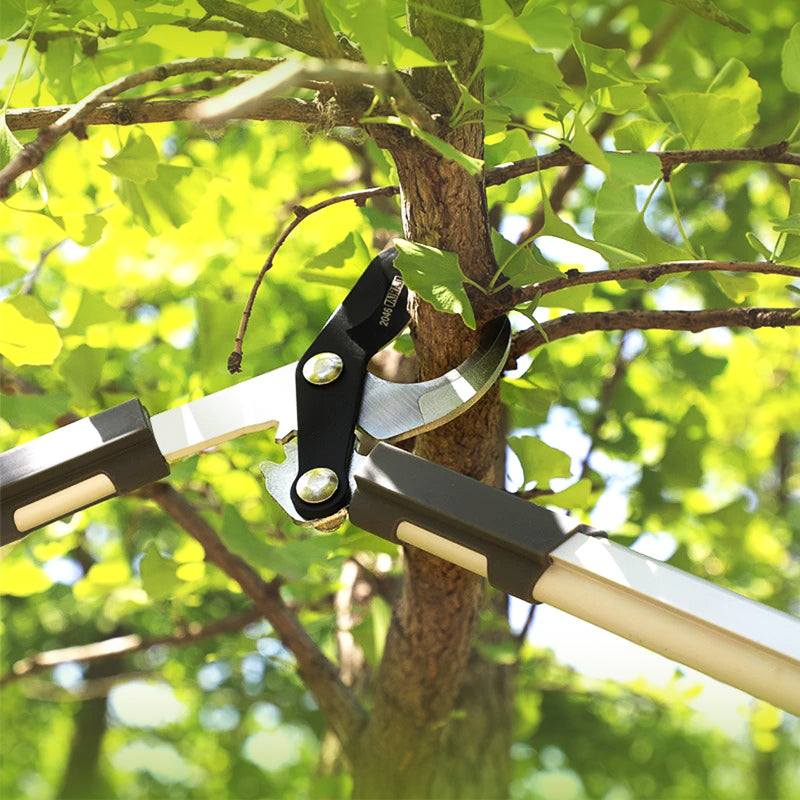 coupe-branche-avec-système-extensible-par-rotation