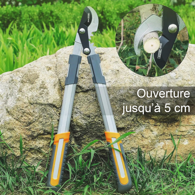 coupe-branche-mécanisme-à-cliquet