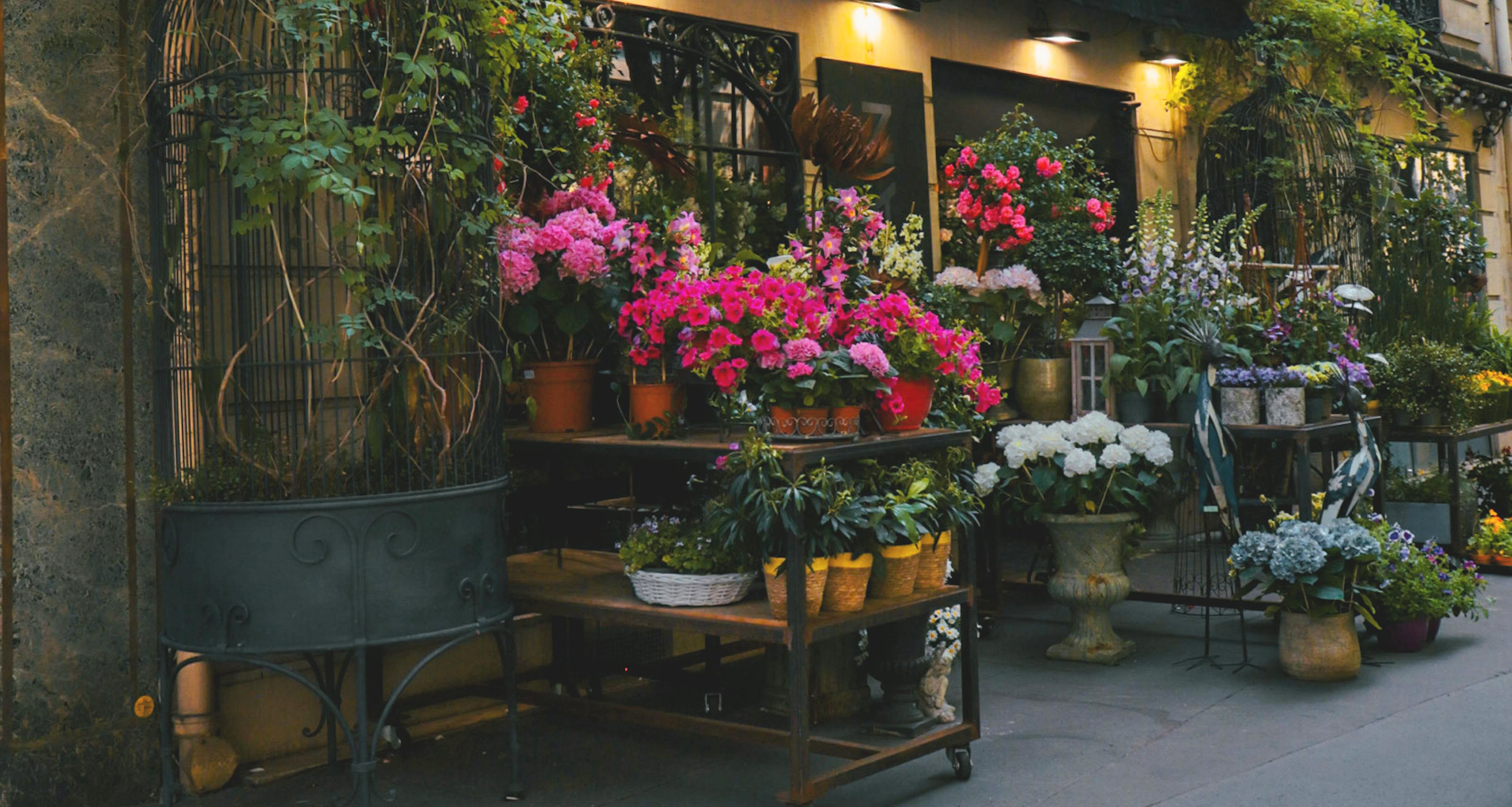 Cultive Ton Balcon Terrasse 