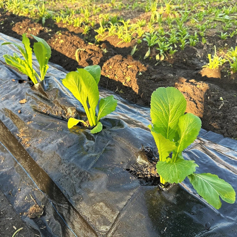 Géotextile-efficace