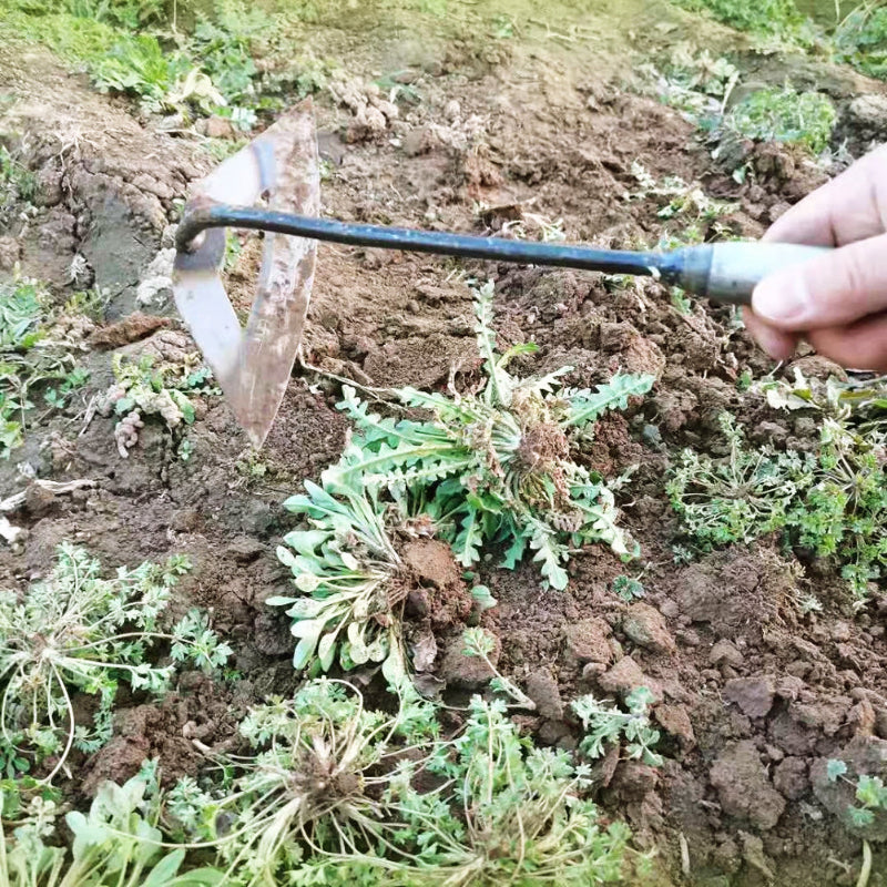Houe-de-jardin-poignée-robuste