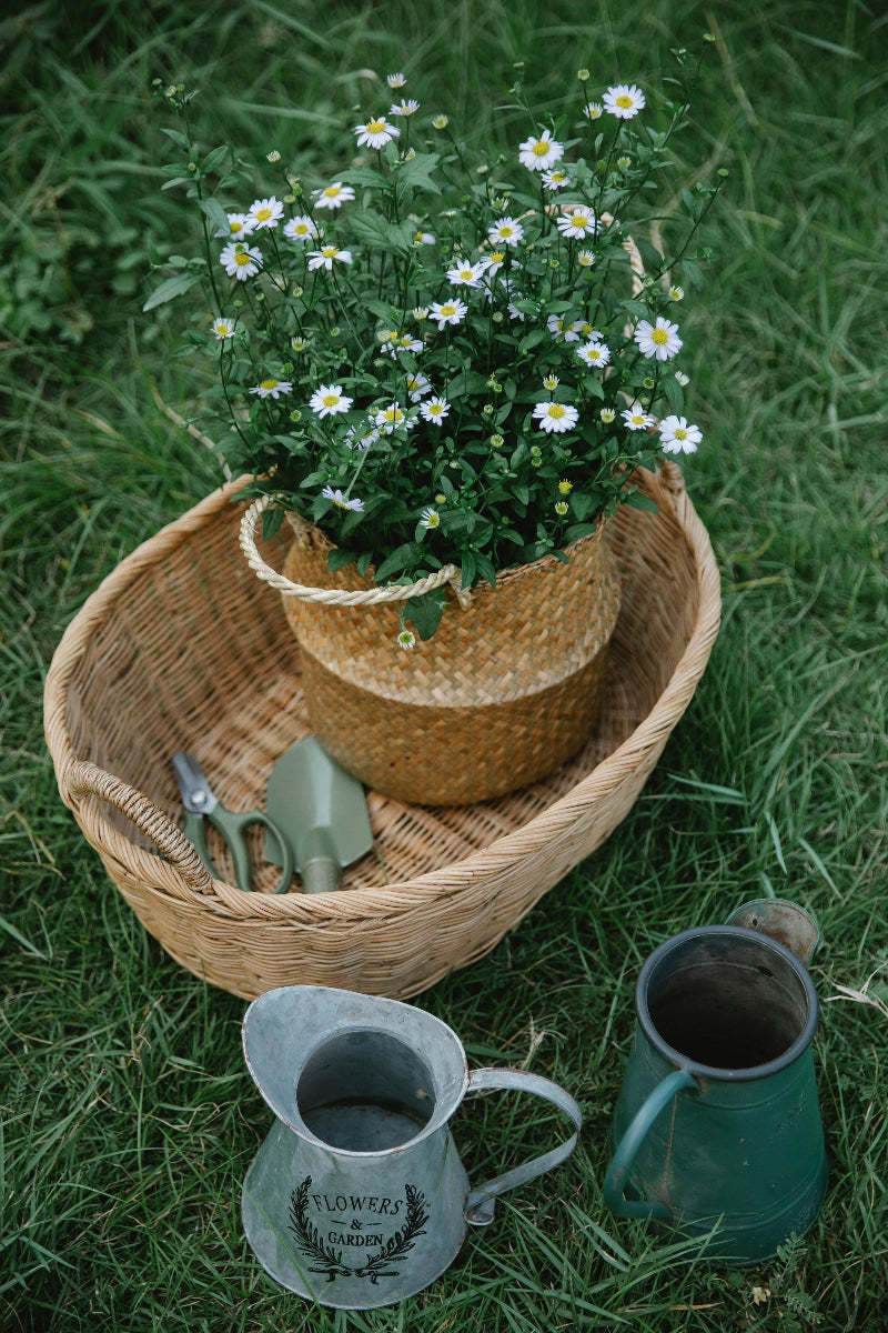 Jardinières et culture urbaine
