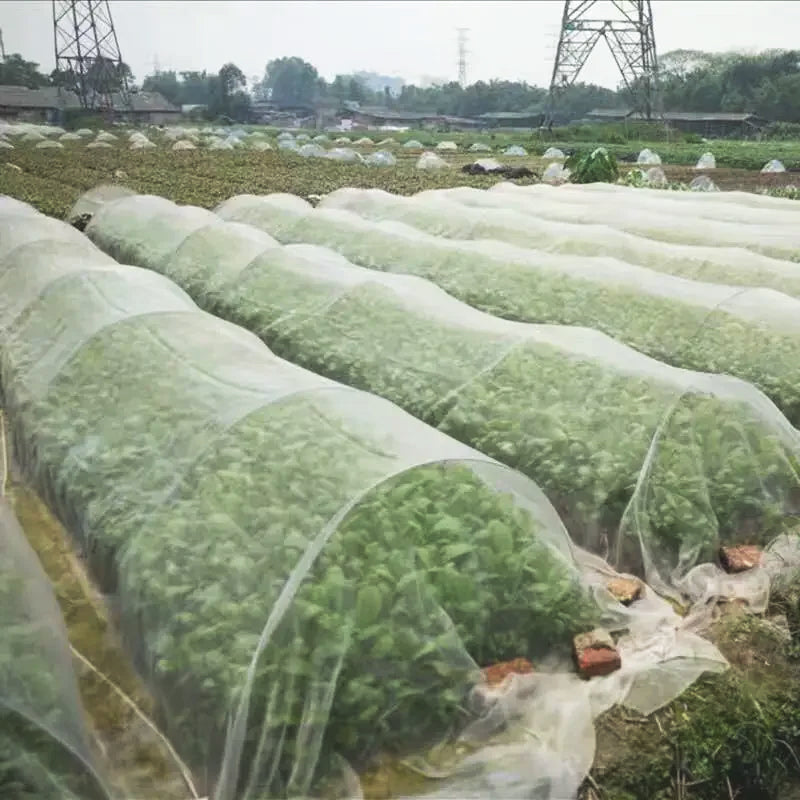 Mini-serre-de-jardin-tunnel-protection