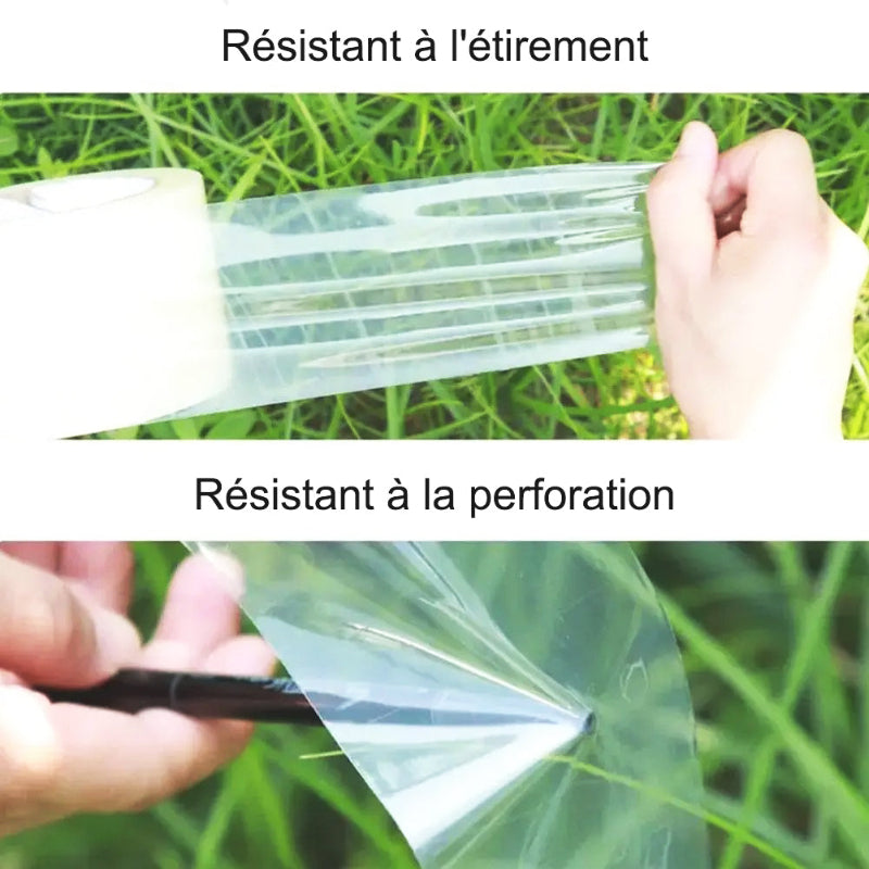 Mini-serre-résistant