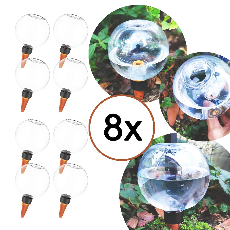 Ollas-8x-globes-500ml