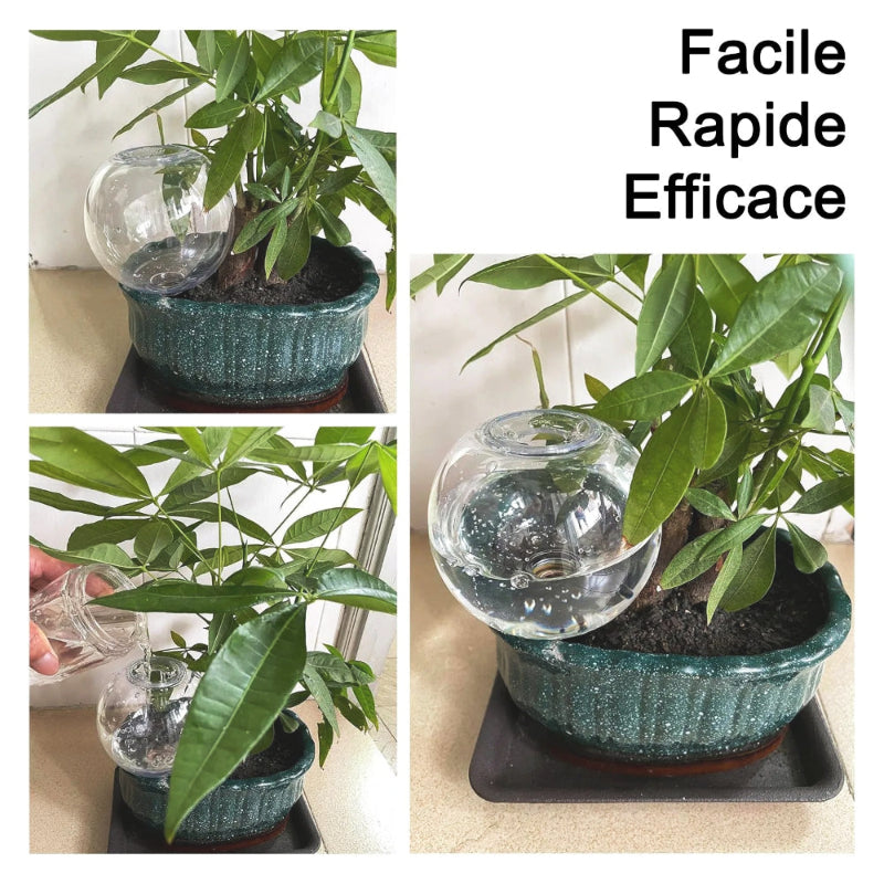 Ollas-arrosage-optimal