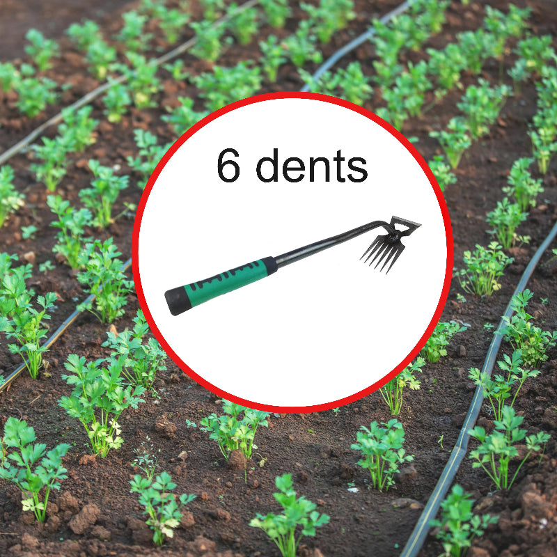 Outil-de-jardinage-6-dents