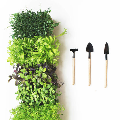 Outils-de-jardinage-fines-herbes