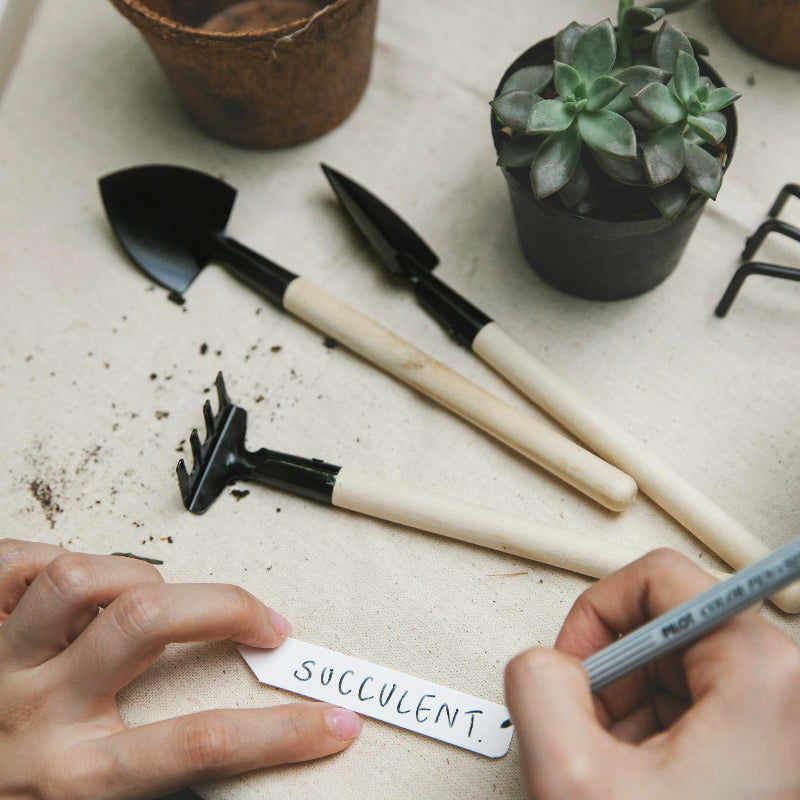 Outils-de-jardinage-plantes-intérieures