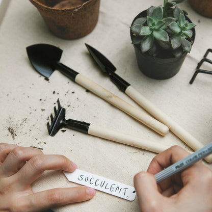 Outils-de-jardinage-plantes-intérieures