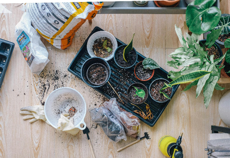 Outils de jardinage