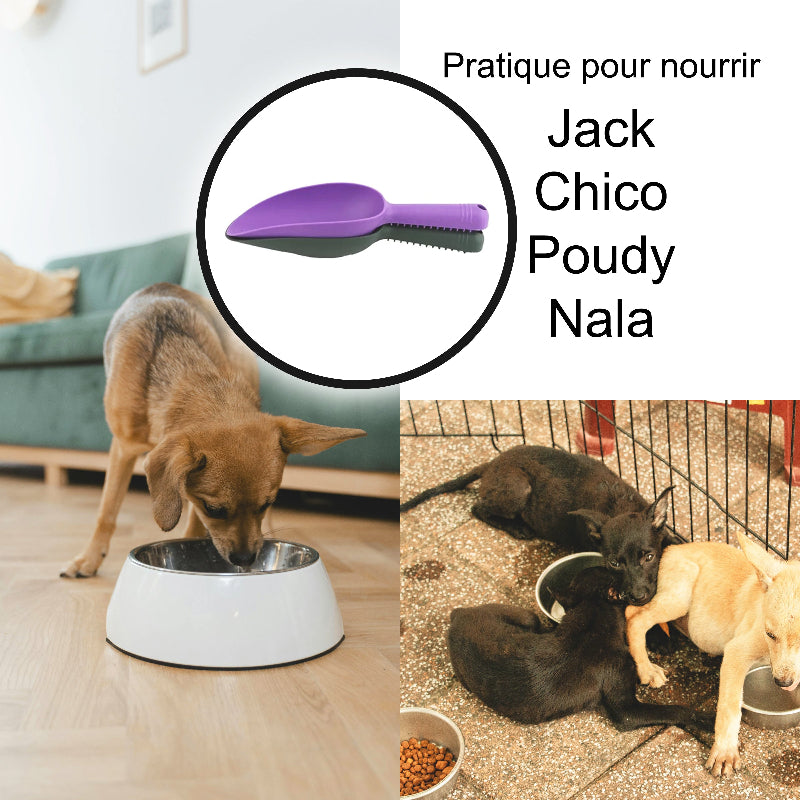 Petite-pelle-multiusages