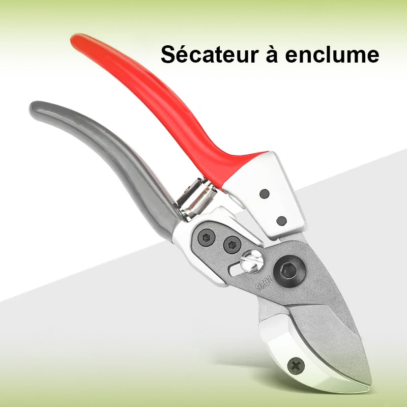 Secateur-classique-à-enclume