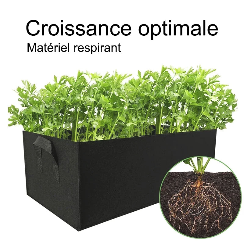 Jardinière-croissance-rapide