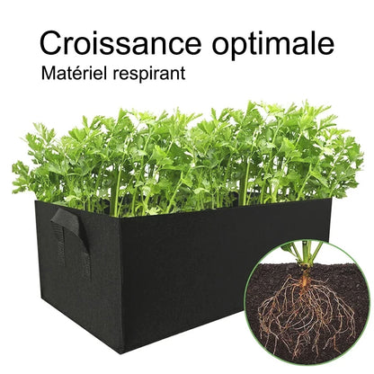 Jardinière-croissance-rapide
