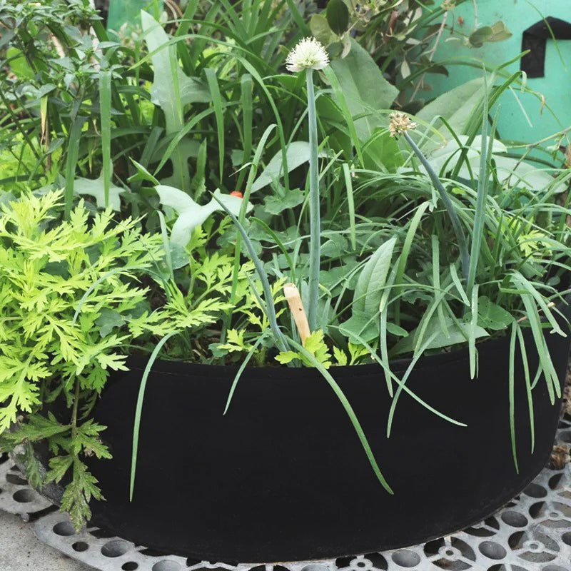 Jardinière-mini-jardin