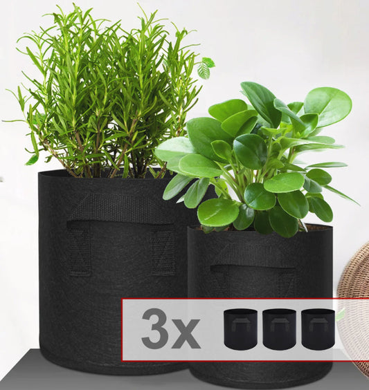 Jardinière-minimaliste-pratique