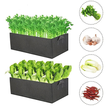 Jardinière-multiples-variétés