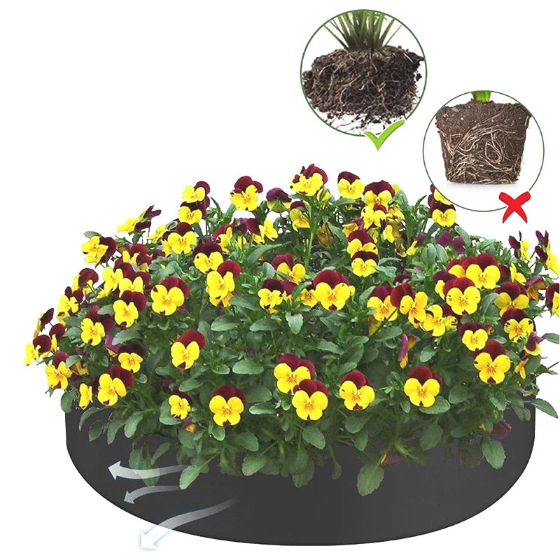 Jardinière-racine-santé