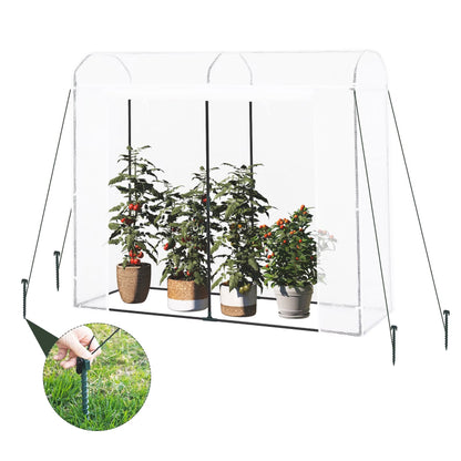 mini-serre-de-jardin-ancrée