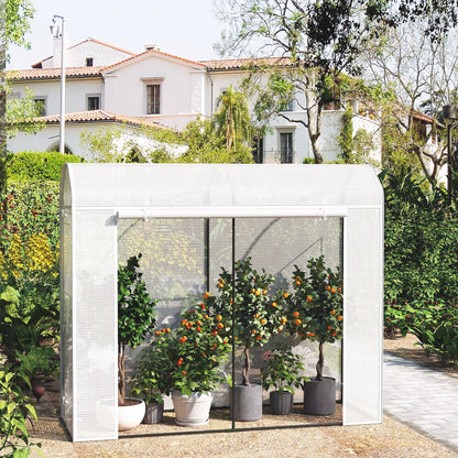 mini-serre-de-jardin-citadin