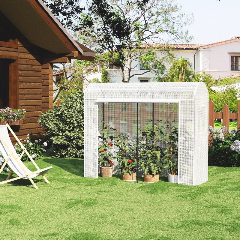 mini-serre-de-jardin-cour-arrière
