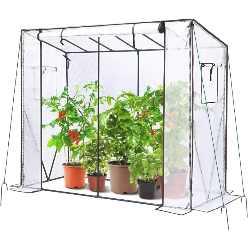 mini-serre-de-jardin