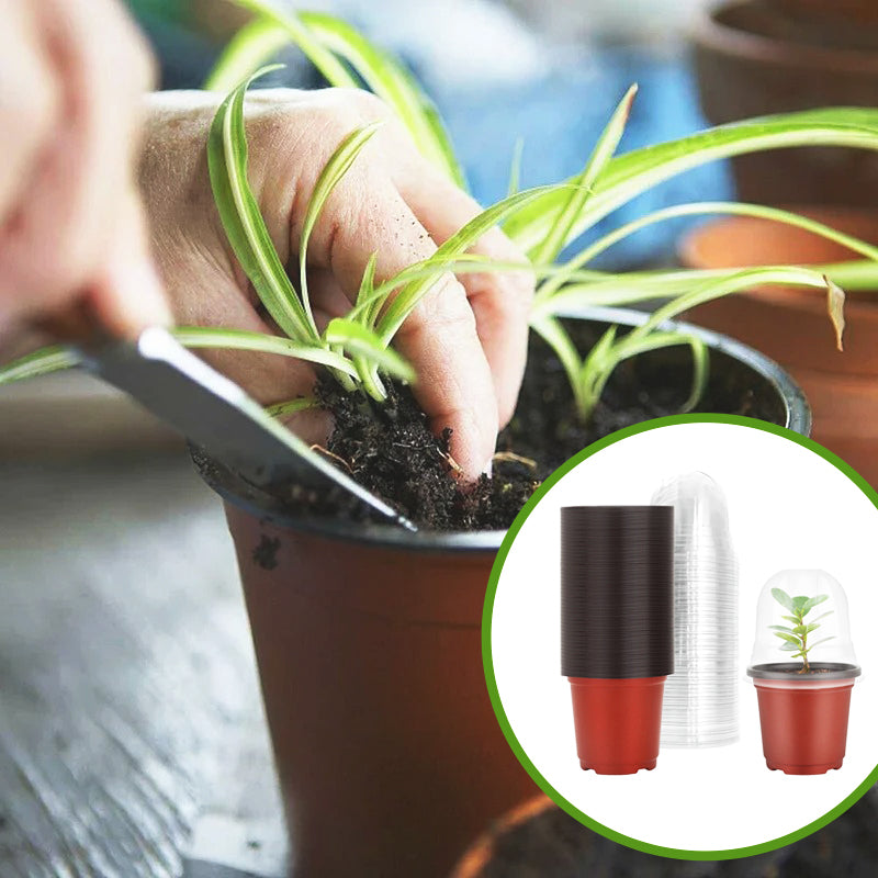 mini-serre-plastique-durable