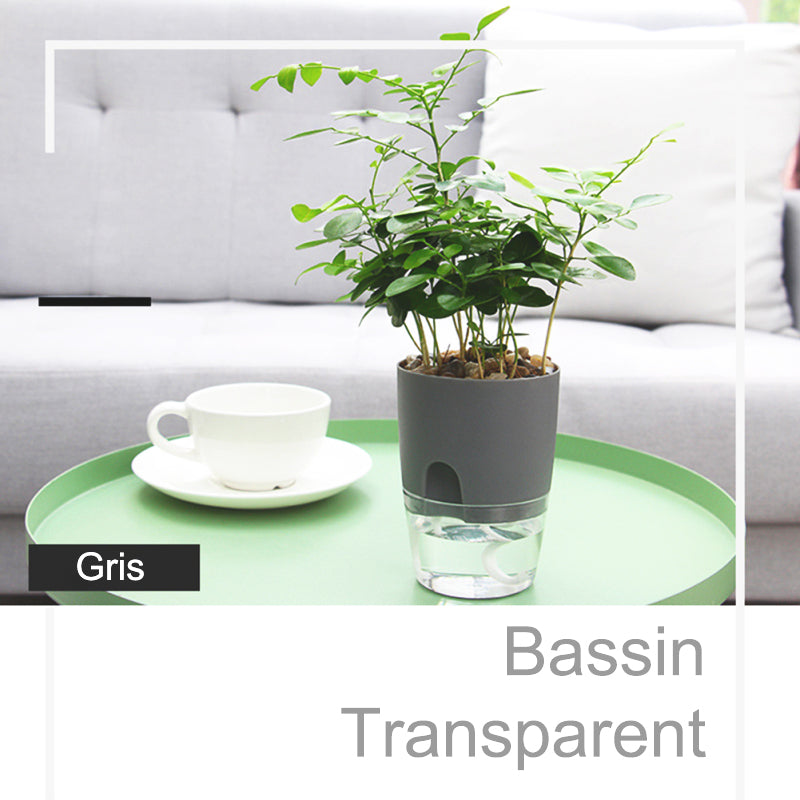 pot-de-fleur-de-balcon-bassin-transparent