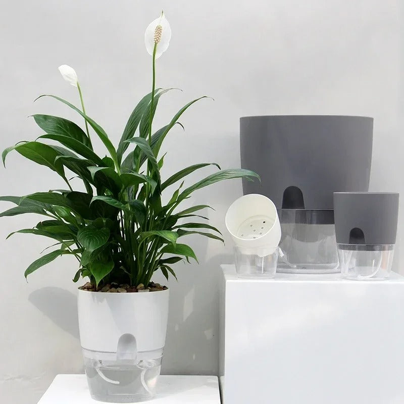 pot-de-fleur-de-balcon-fleural