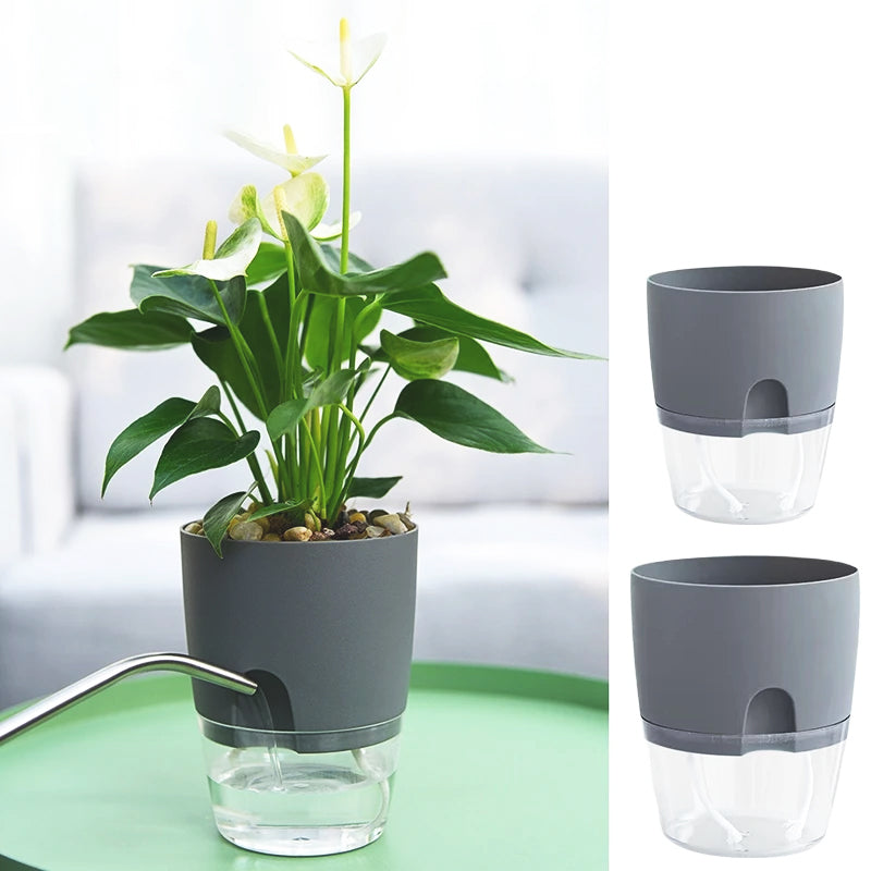 pot-de-fleur-de-balcon-robuste