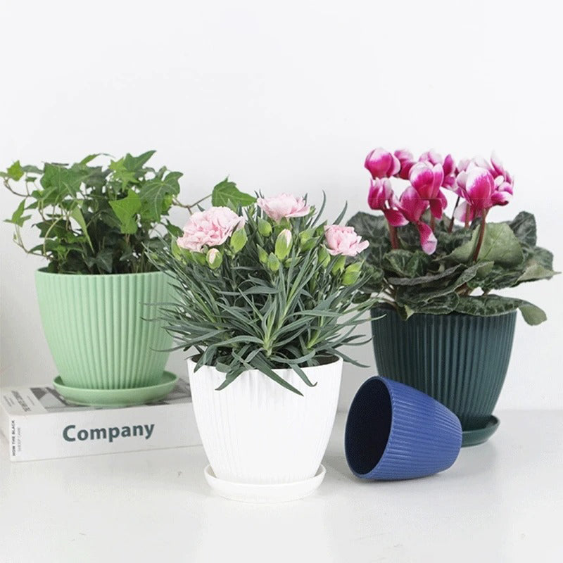 pot-de-fleur-épais
