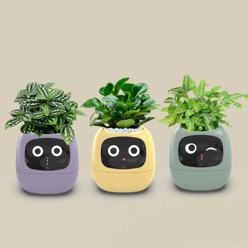 pot-de-fleur-expressif