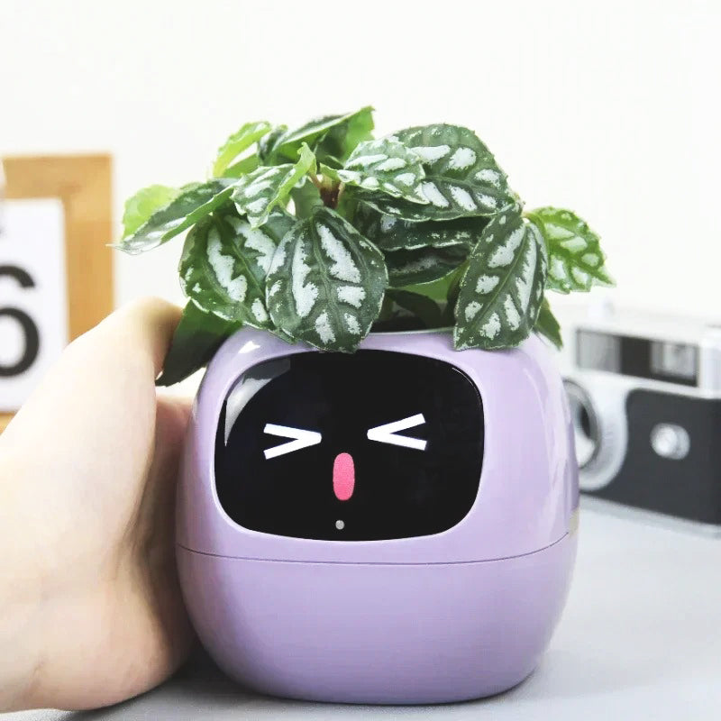 pot-de-fleur-expressions-faciales