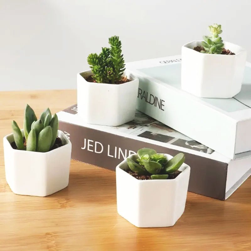 pot-de-fleur-interieur-bohème-chic