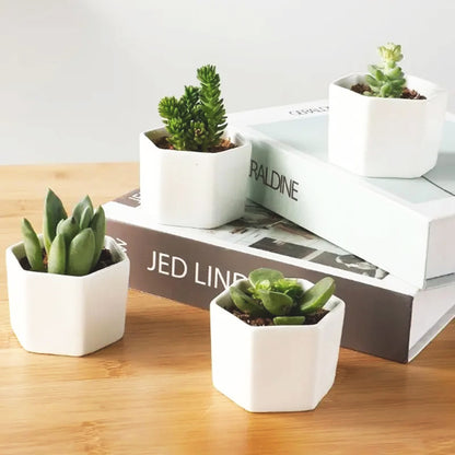 pot-de-fleur-interieur-bohème-chic