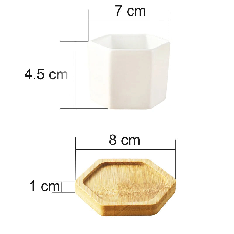 pot-de-fleur-interieur-charmant