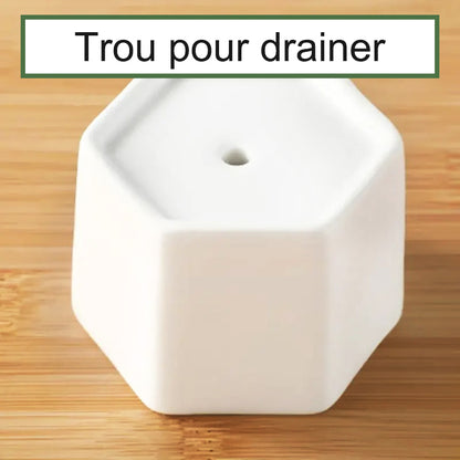 pot-de-fleur-interieur-drainant