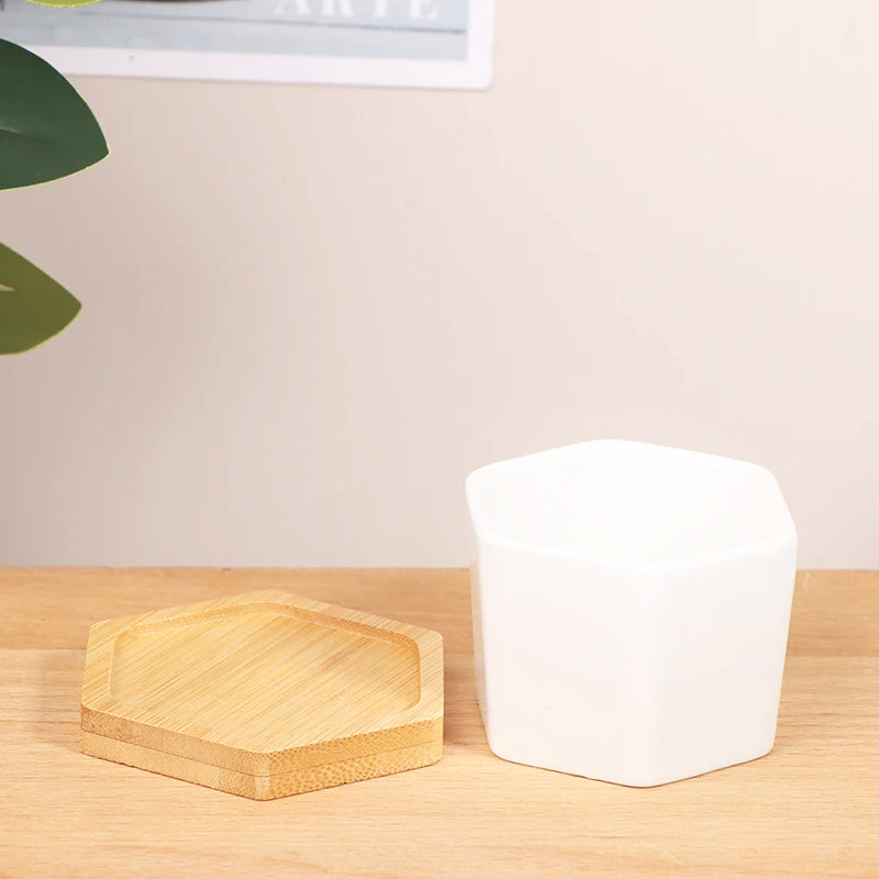 pot-de-fleur-interieur-exagonal