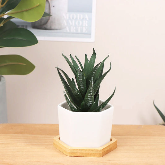 pot-de-fleur-interieur-minimaliste